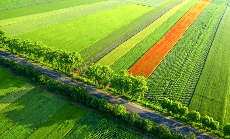 Uskoro se otvara RuralFoto natječaj