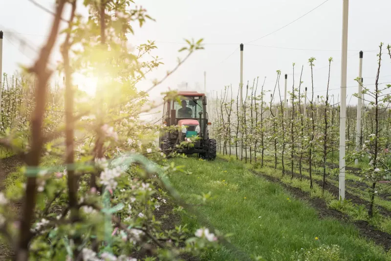 Otvoreno je e-savjetovanje za Prijedlog pravilnika o provedbi izravne potpore poljoprivredi i IAKS mjera ruralnog razvoja za 2024. godinu