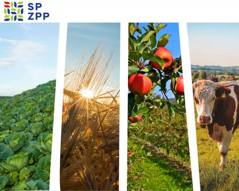 Objavljene izmjene indikativnog plana objave natječaja za 2023. godinu