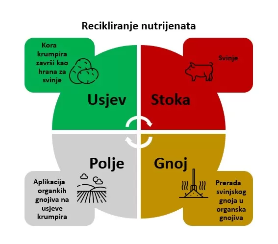 Shema recikliranja nutrijenta na primjeru svinjske farme